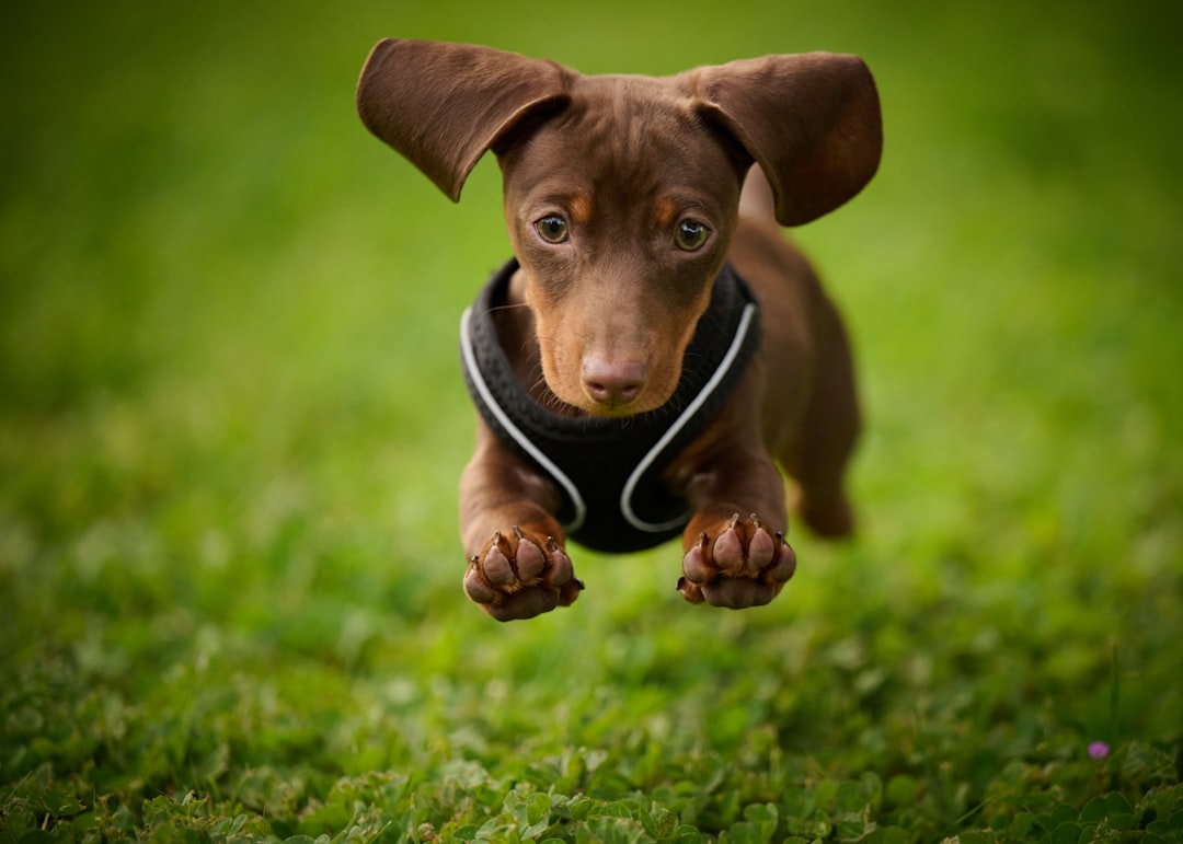 blog_8